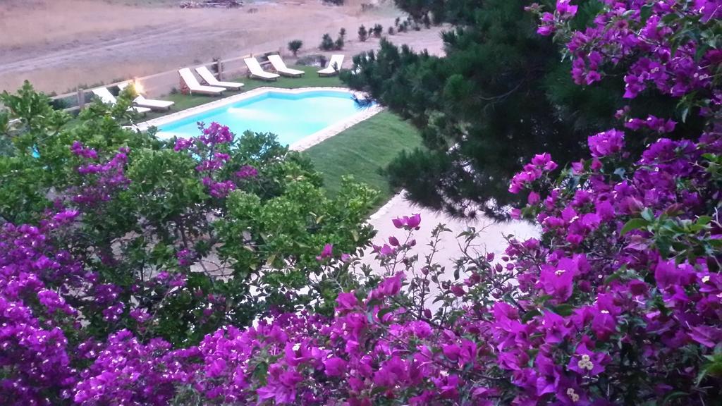 Elli And * Almiros Beach